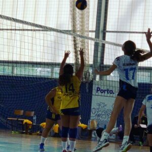 Seleção nacional de voleibol