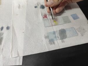 8º. ano- Trabalho prático em laboratório