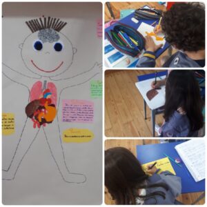 O corpo humano- 2.º ano