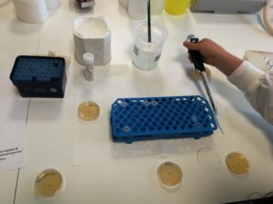 Visita de estudo-11º ano