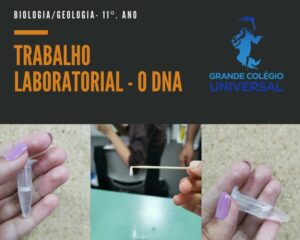 Biologia/Geologia - 11º ano- O DNA