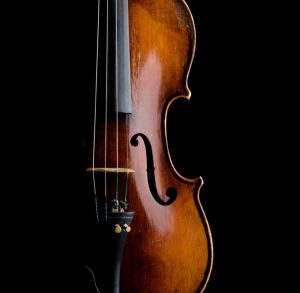 Violino