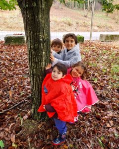 Magusto- Pré-escolar e 1.º ciclo