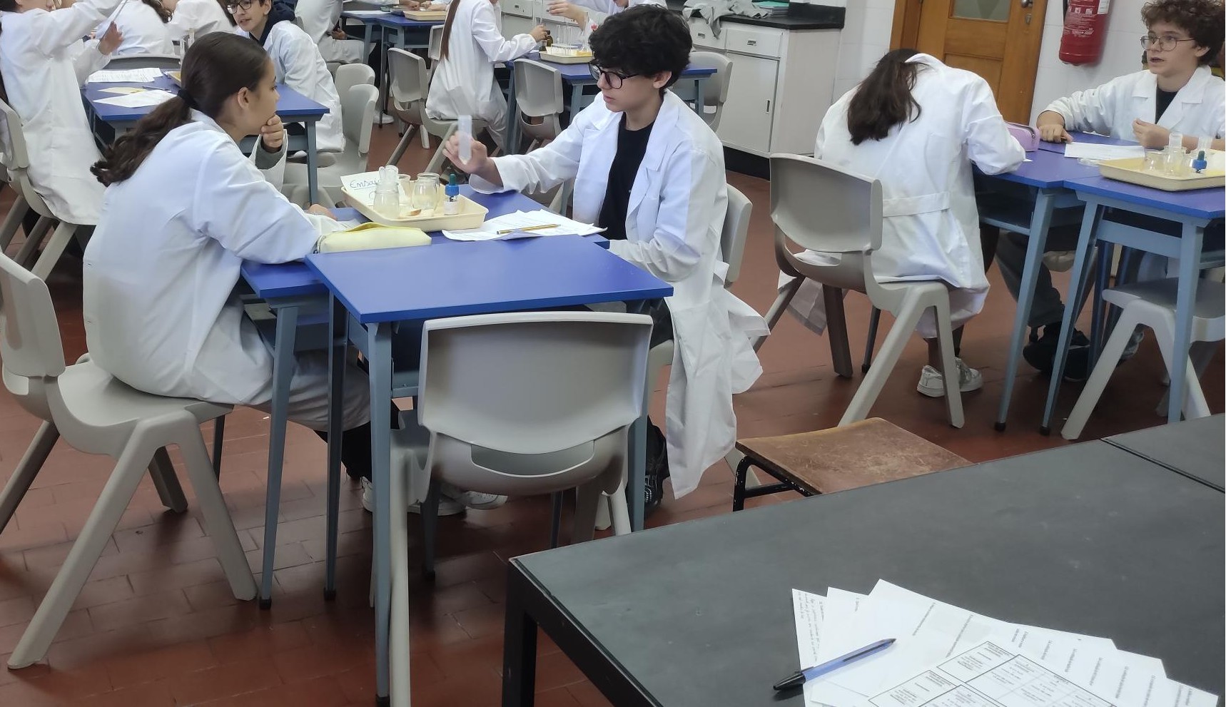 Atividade prática - 9.º ano