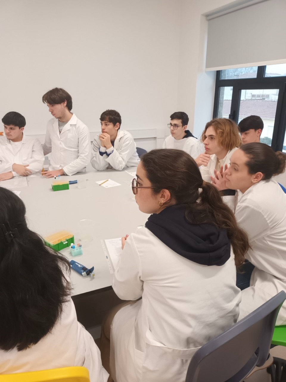 Atividade no Laboratório Aberto do I3S - 11.º ano