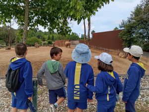 Crianças do Grande Colégio Universal em visita de estudo ao Zoo Santo Inácio